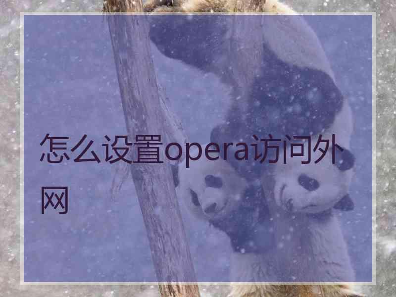 怎么设置opera访问外网
