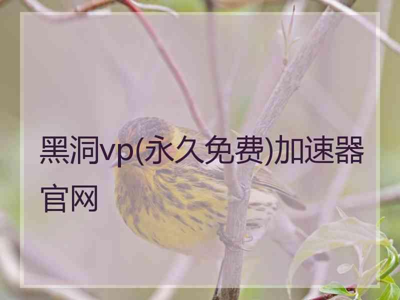 黑洞vp(永久免费)加速器官网