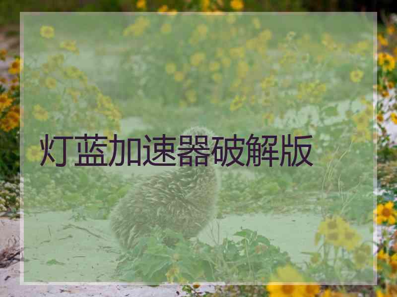 灯蓝加速器破解版