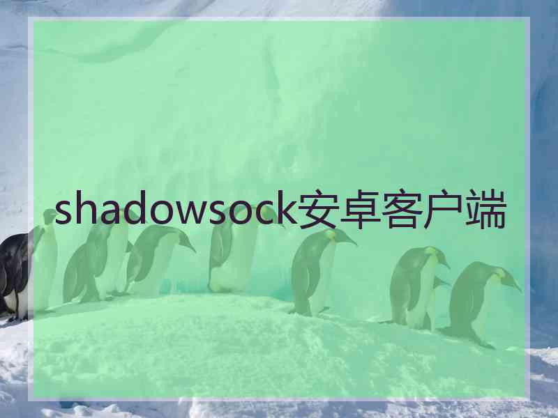 shadowsock安卓客户端