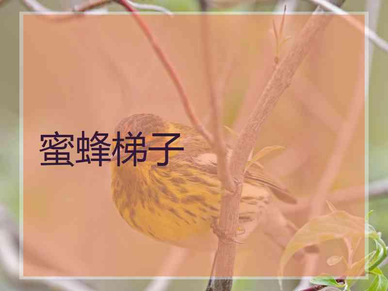 蜜蜂梯子
