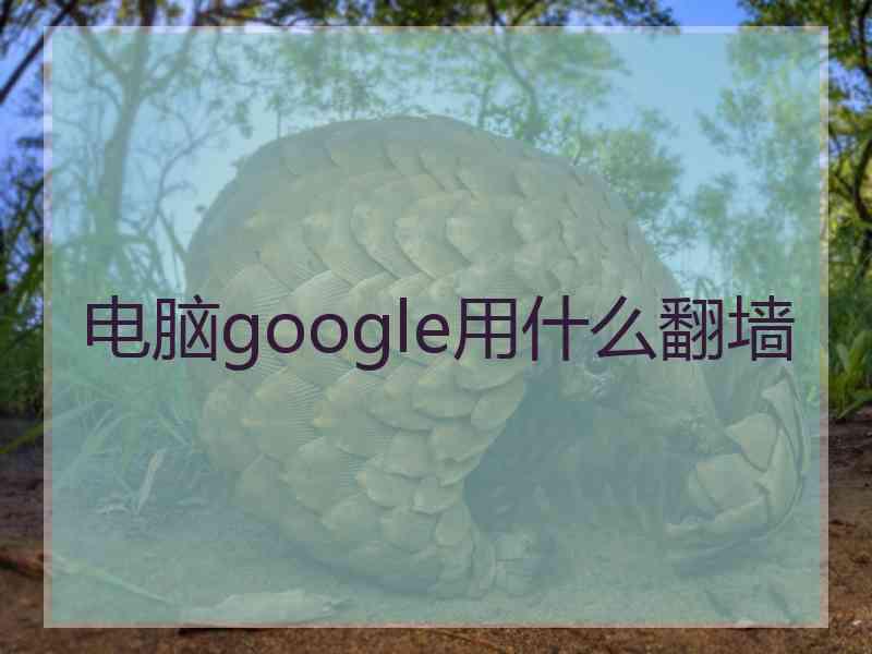 电脑google用什么翻墙