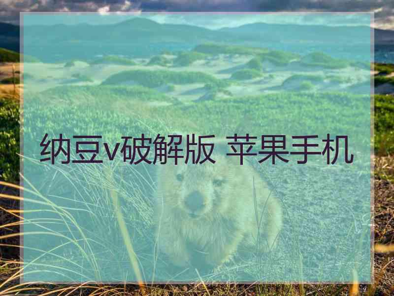 纳豆v破解版 苹果手机