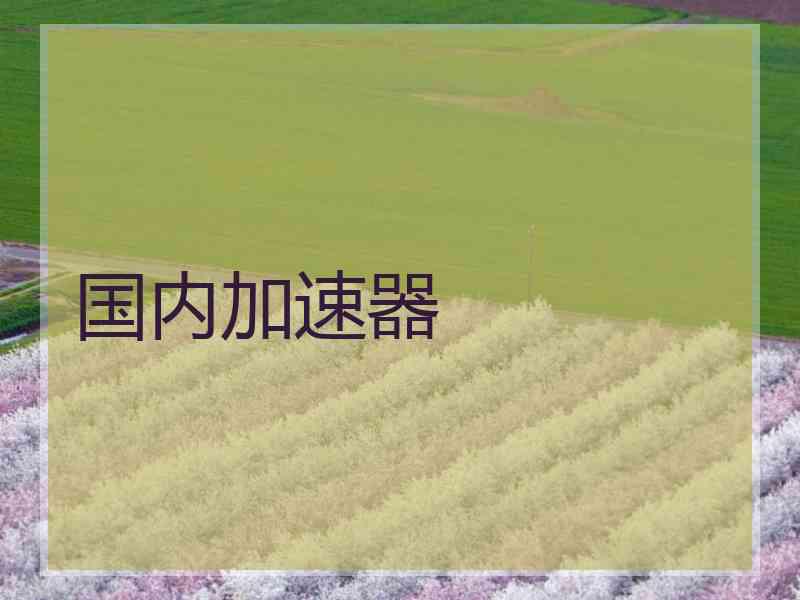 国内加速器