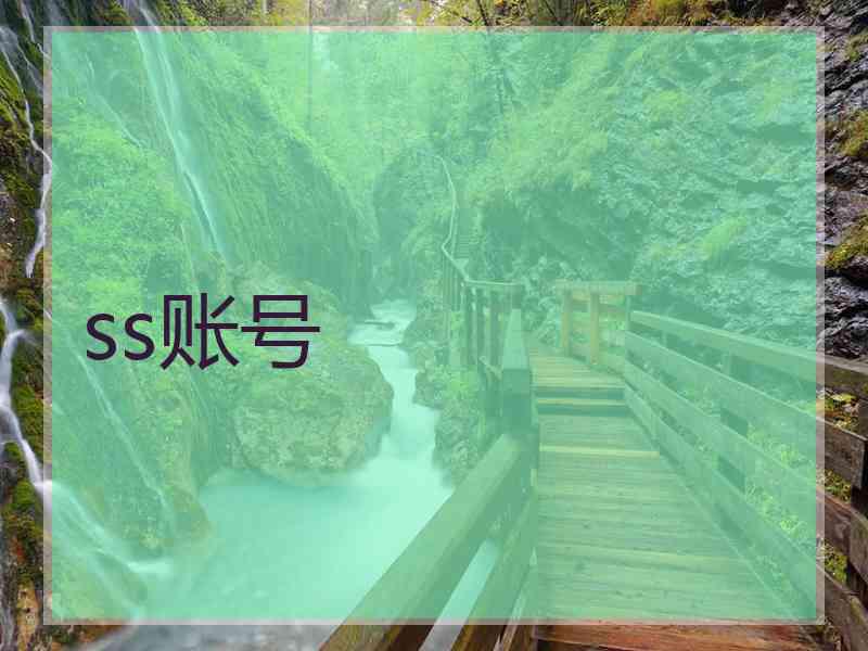 ss账号