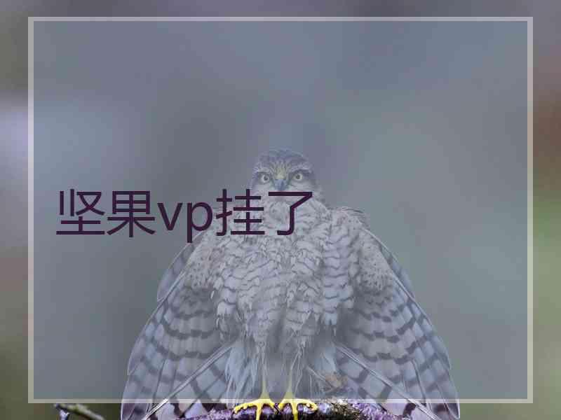 坚果vp挂了
