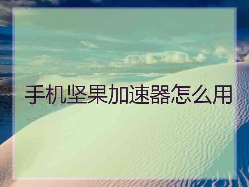 手机坚果加速器怎么用