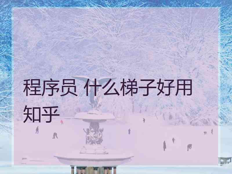 程序员 什么梯子好用 知乎