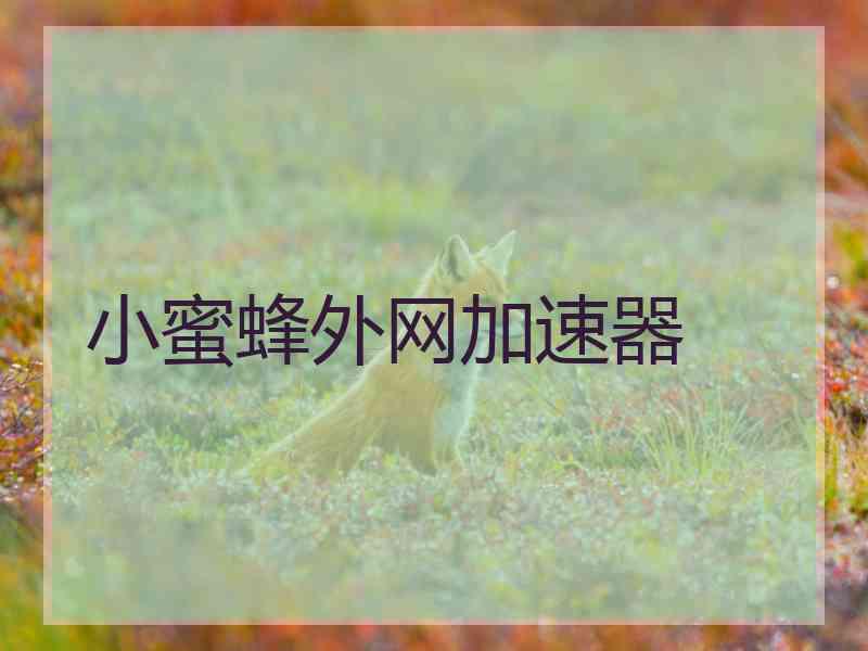 小蜜蜂外网加速器