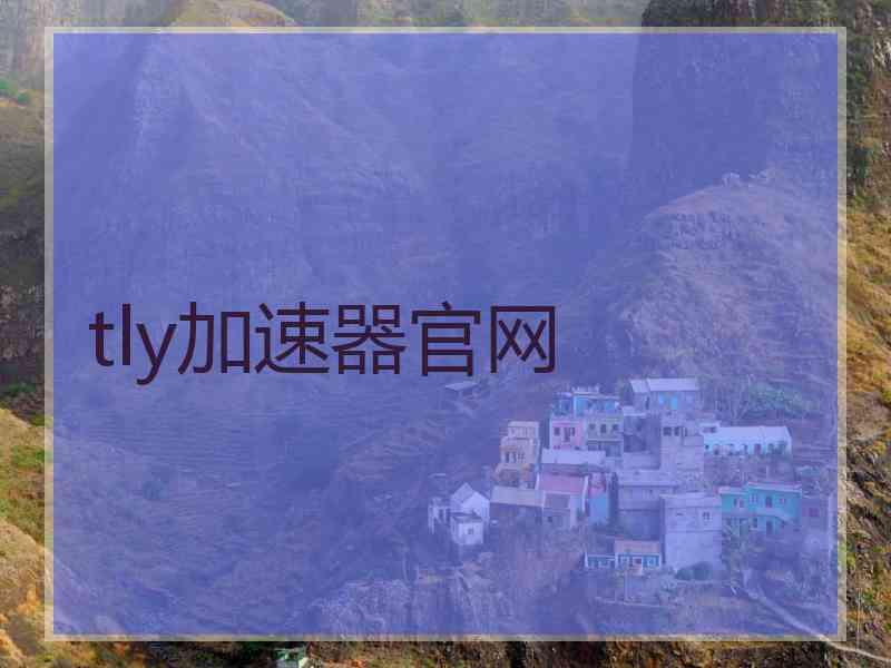 tly加速器官网