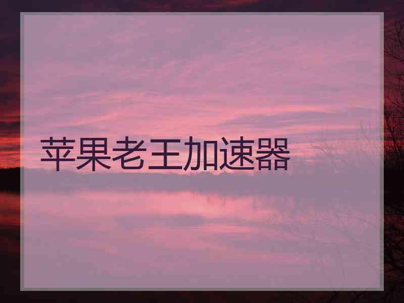 苹果老王加速器