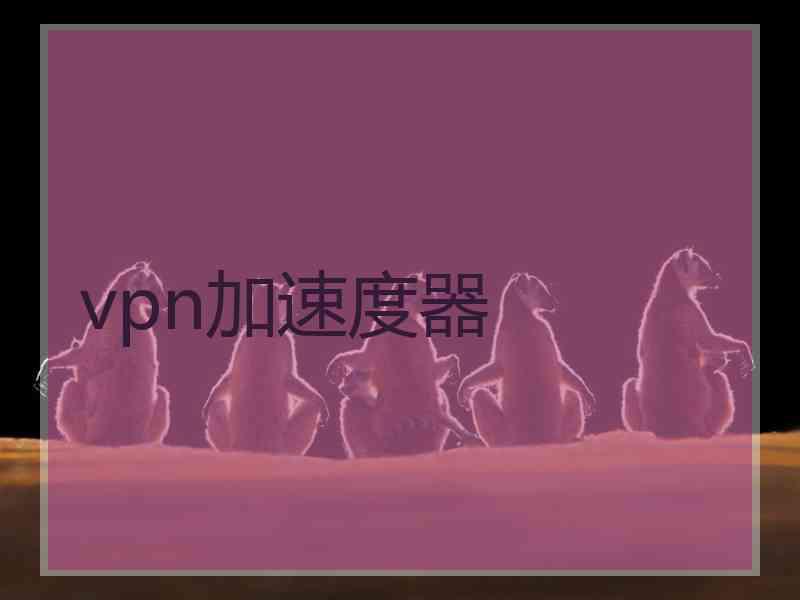 vpn加速度器
