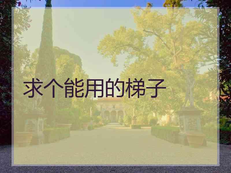 求个能用的梯子