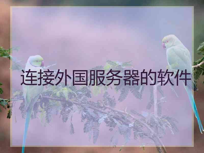 连接外国服务器的软件