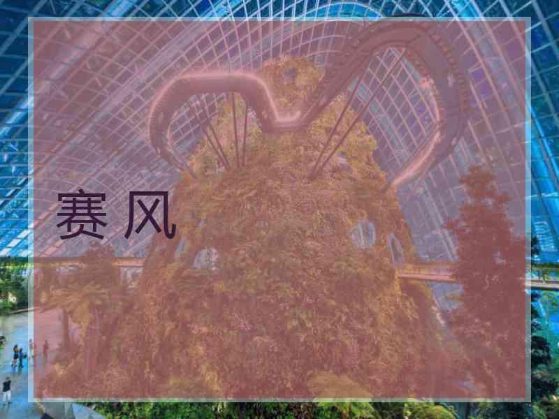 赛 风