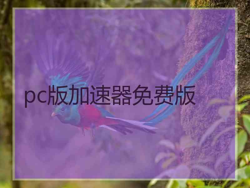 pc版加速器免费版