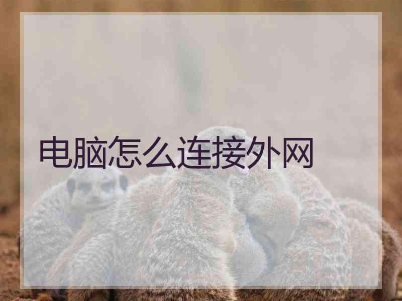 电脑怎么连接外网