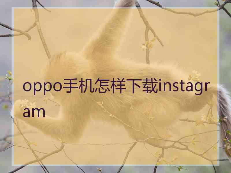 oppo手机怎样下载instagram