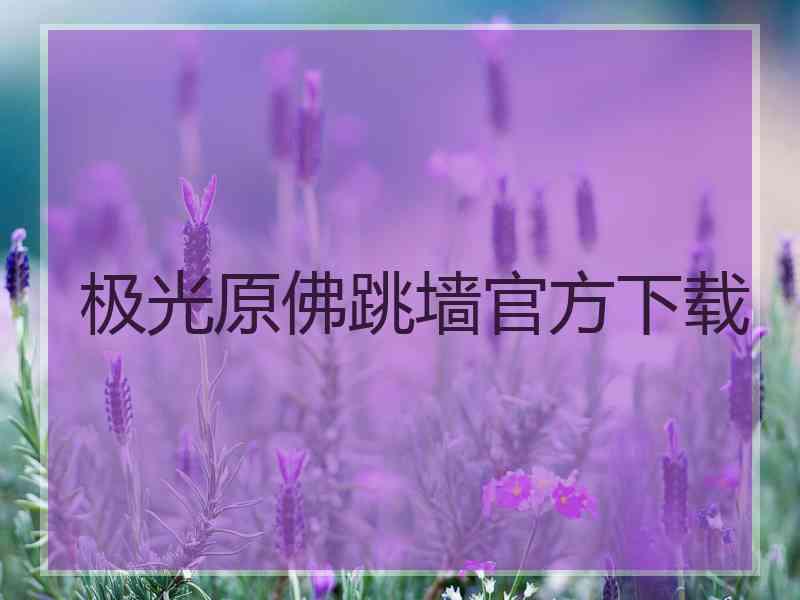 极光原佛跳墙官方下载