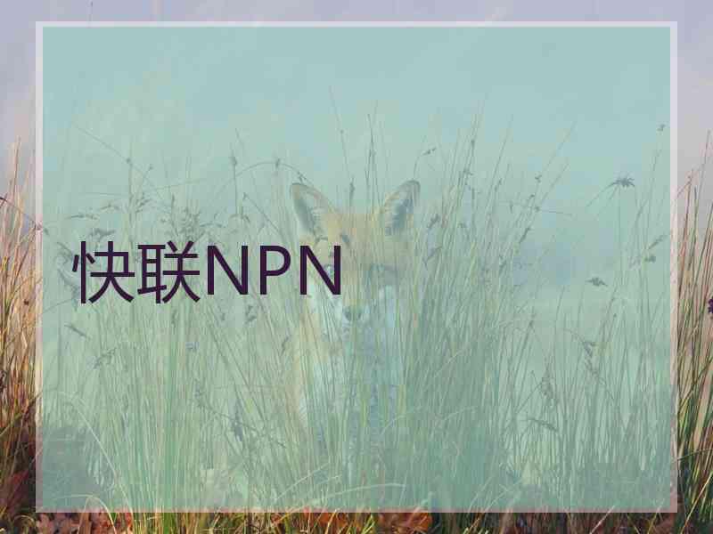 快联NPN