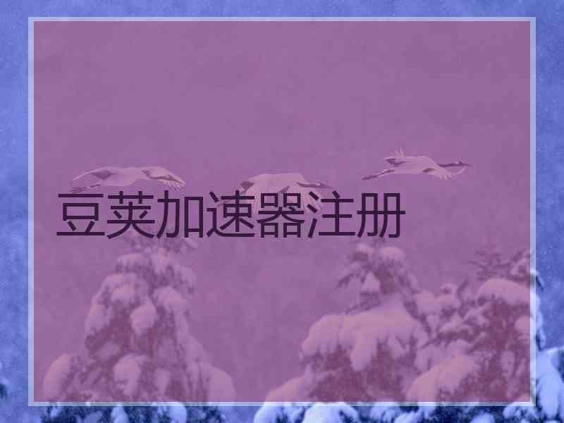 豆荚加速器注册