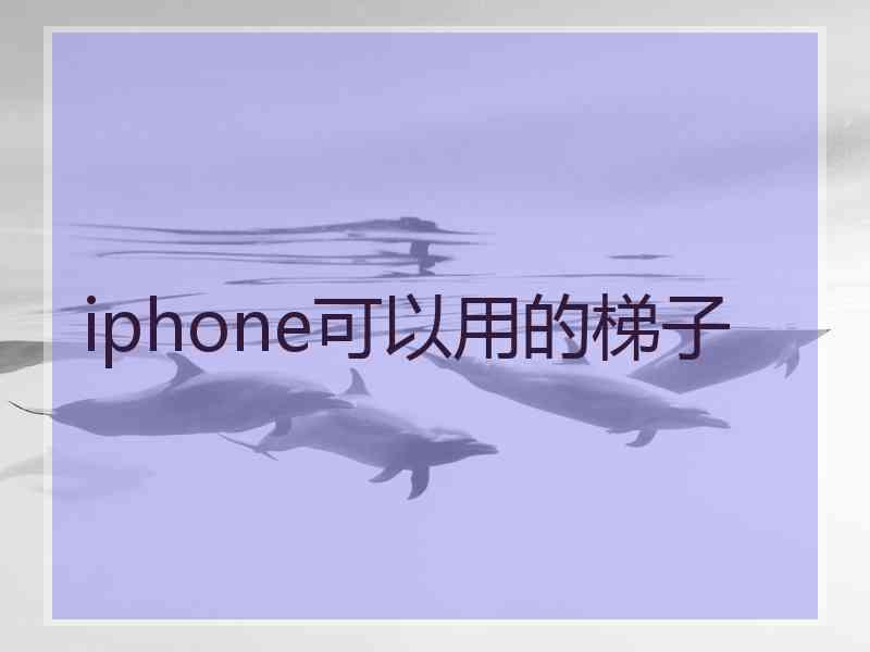iphone可以用的梯子