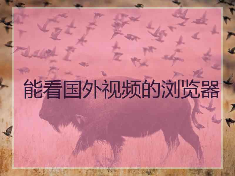 能看国外视频的浏览器