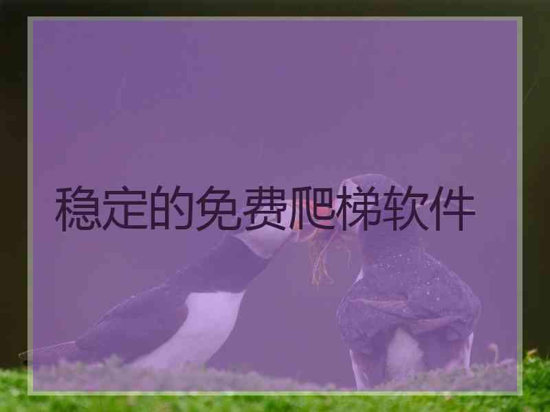 稳定的免费爬梯软件