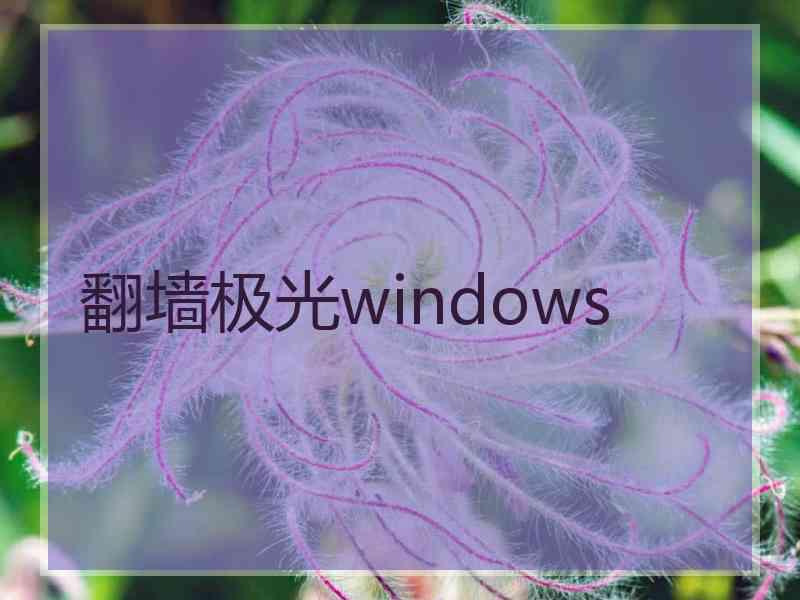 翻墙极光windows