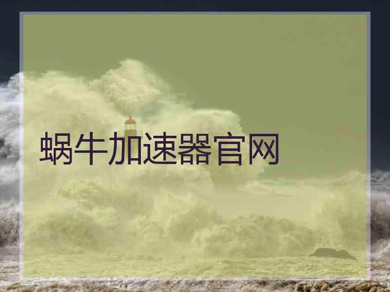 蜗牛加速器官网
