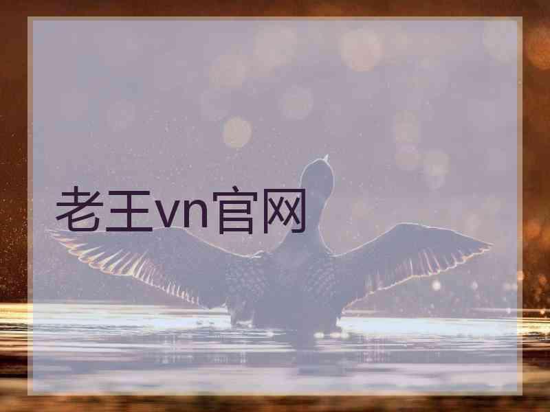 老王vn官网