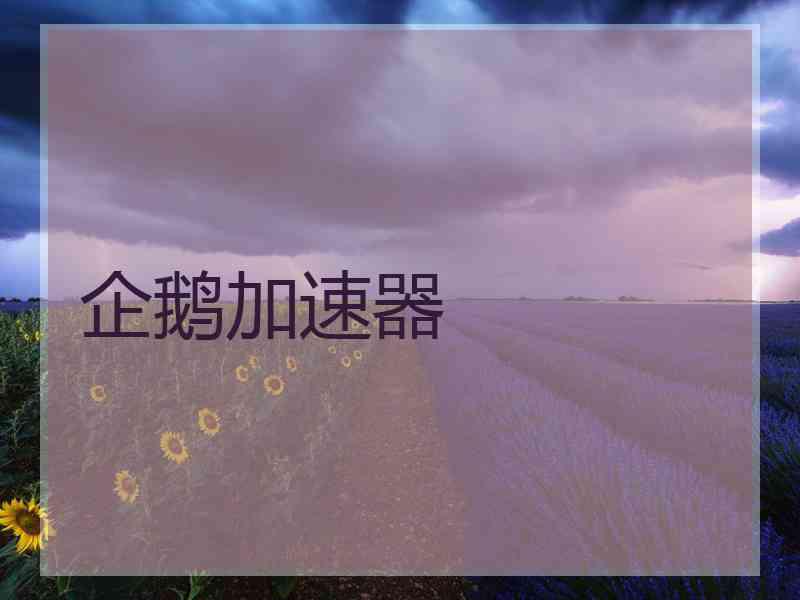 企鹅加速器