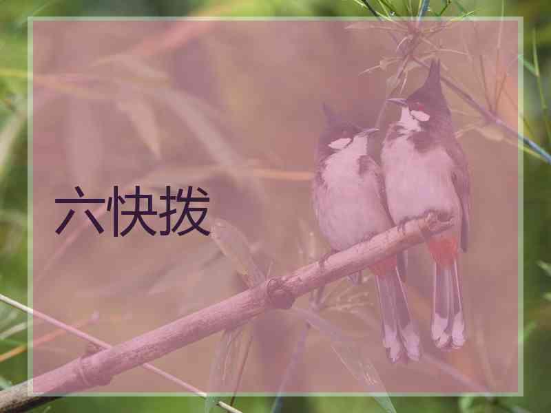 六快拨