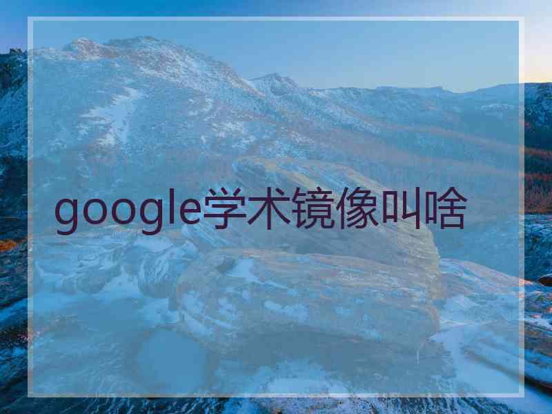google学术镜像叫啥