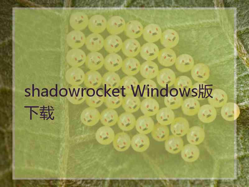 shadowrocket Windows版下载