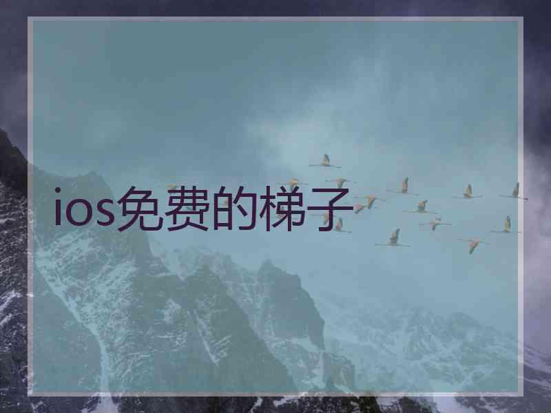 ios免费的梯子