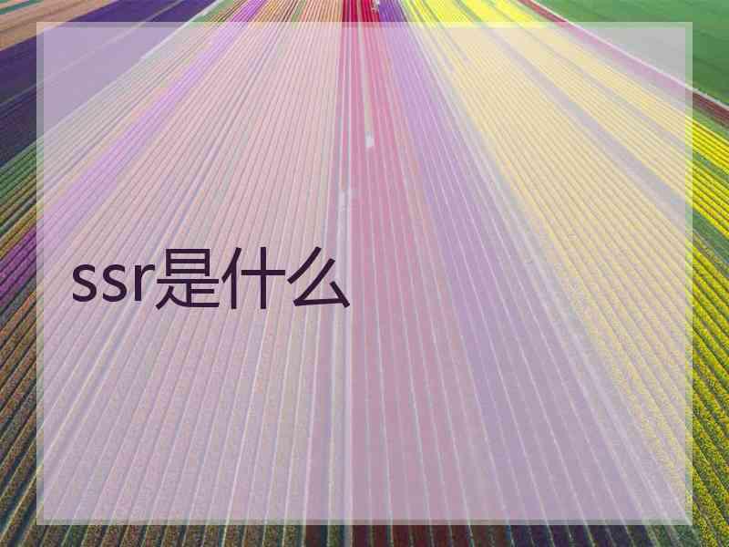 ssr是什么