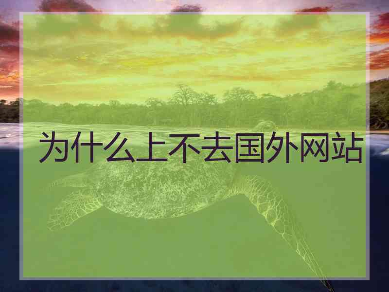 为什么上不去国外网站