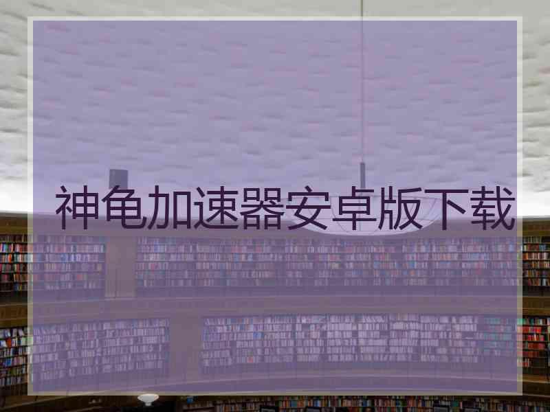 神龟加速器安卓版下载