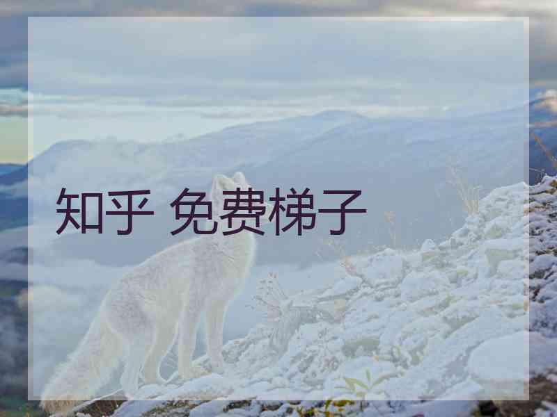 知乎 免费梯子
