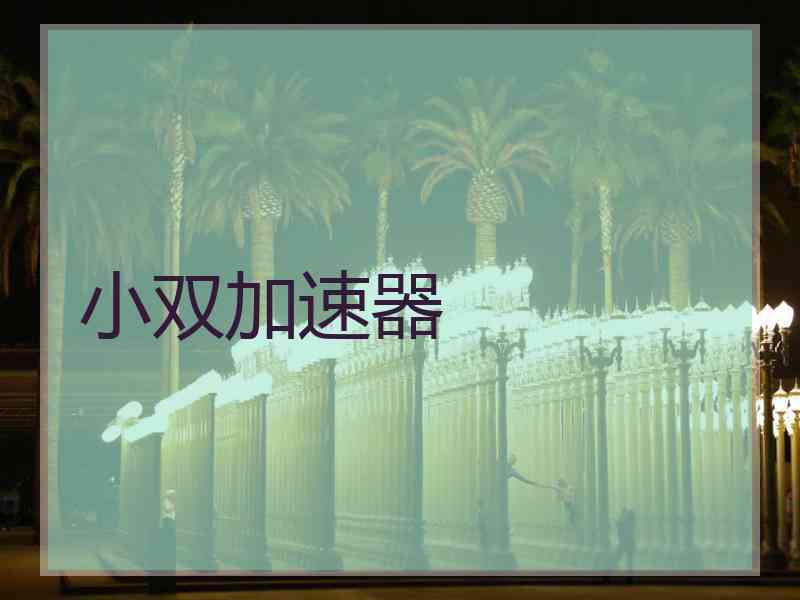 小双加速器