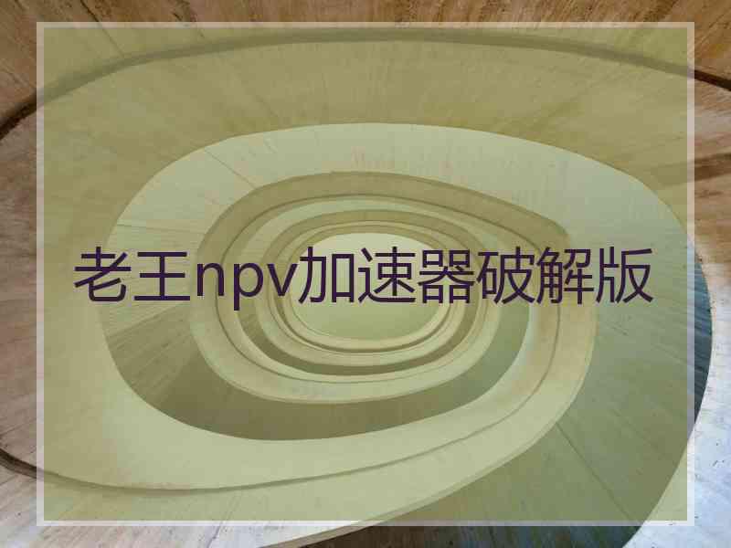 老王npv加速器破解版
