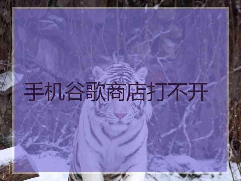 手机谷歌商店打不开