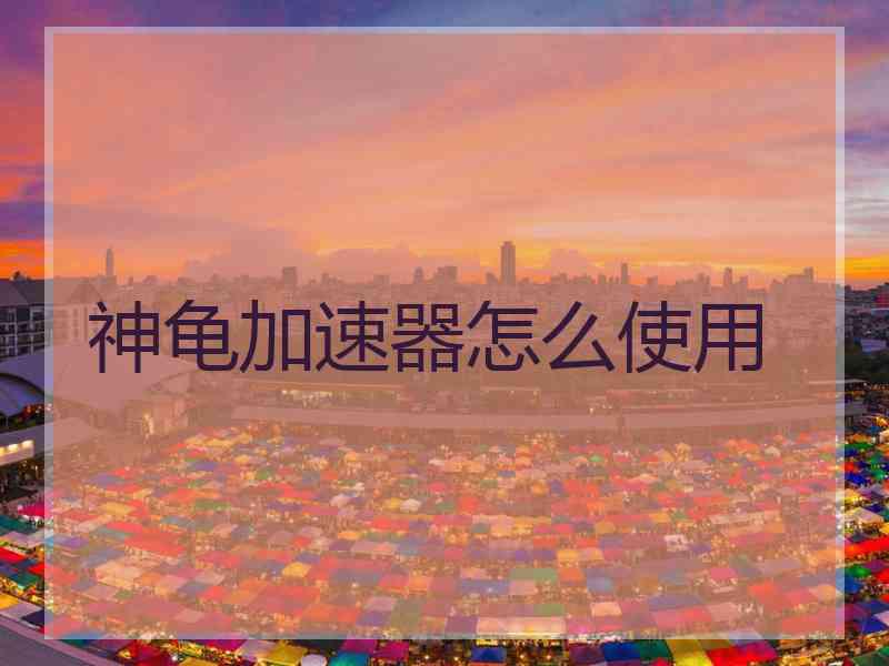 神龟加速器怎么使用