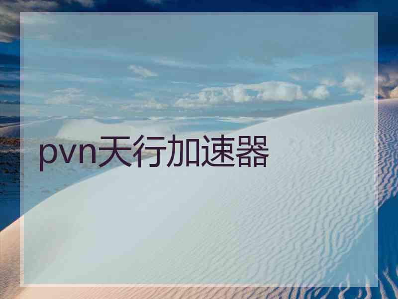 pvn天行加速器