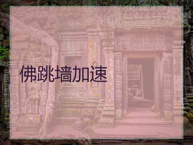 佛跳墙加速