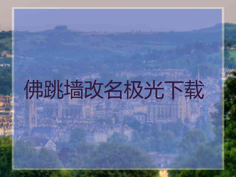 佛跳墙改名极光下载