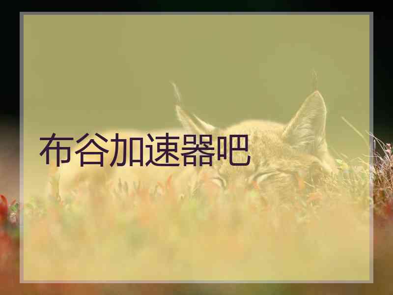 布谷加速器吧