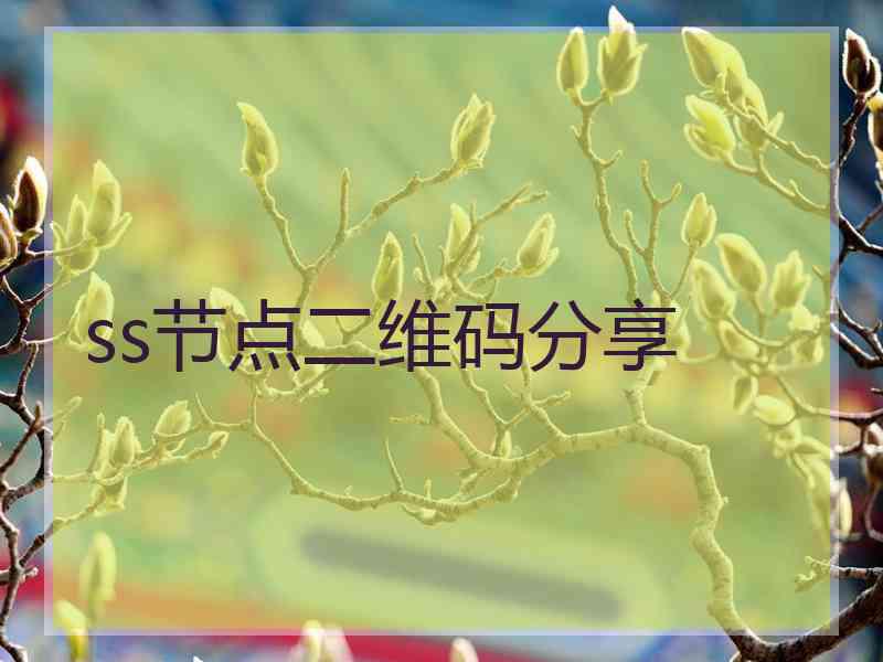 ss节点二维码分享