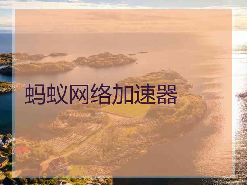 蚂蚁网络加速器